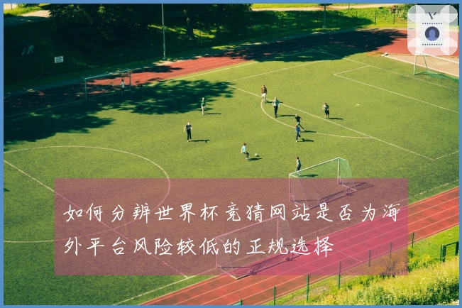 如何分辨世界杯竞猜网站是否为海外平台风险较低的正规选择