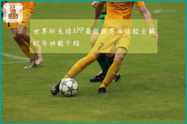 世界杯竞猜APP最新版界面体验全解析与功能介绍