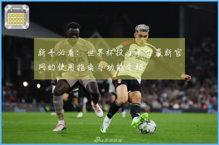 新手必看：世界杯投注平台最新官网的使用指南与功能介绍