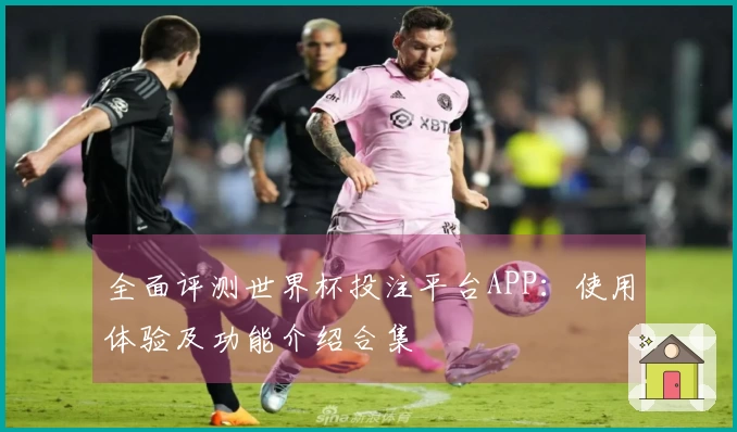 全面评测世界杯投注平台APP:使用体验及功能介绍合集
