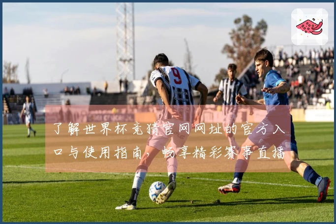了解世界杯竞猜官网网址的官方入口与使用指南，畅享精彩赛事直播体验