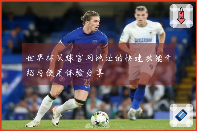 世界杯买球官网地址的快速功能介绍与使用体验分享