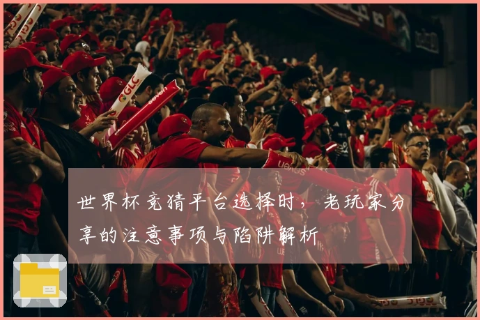 世界杯竞猜平台选择时，老玩家分享的注意事项与陷阱解析