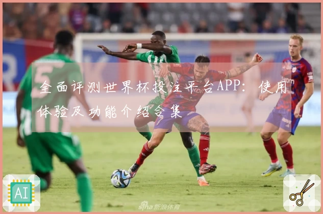 全面评测世界杯投注平台APP：使用体验及功能介绍合集
