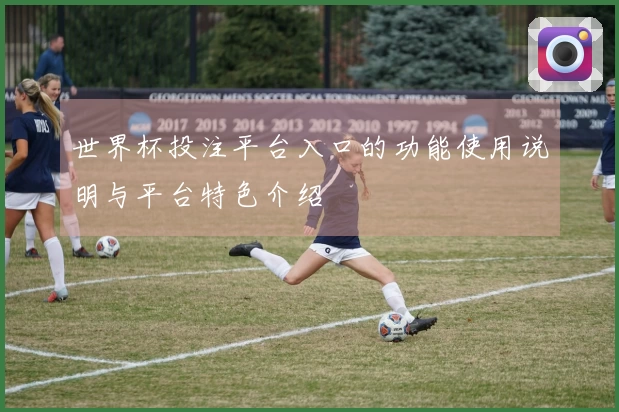 世界杯投注平台入口的功能使用说明与平台特色介绍