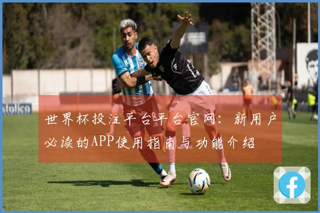 世界杯投注平台平台官网:新用户必读的APP使用指南与功能介绍