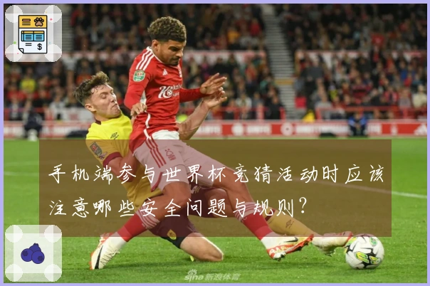 手机端参与世界杯竞猜活动时应该注意哪些安全问题与规则？